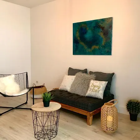 1 Quai Ferdinand Favre Apartment